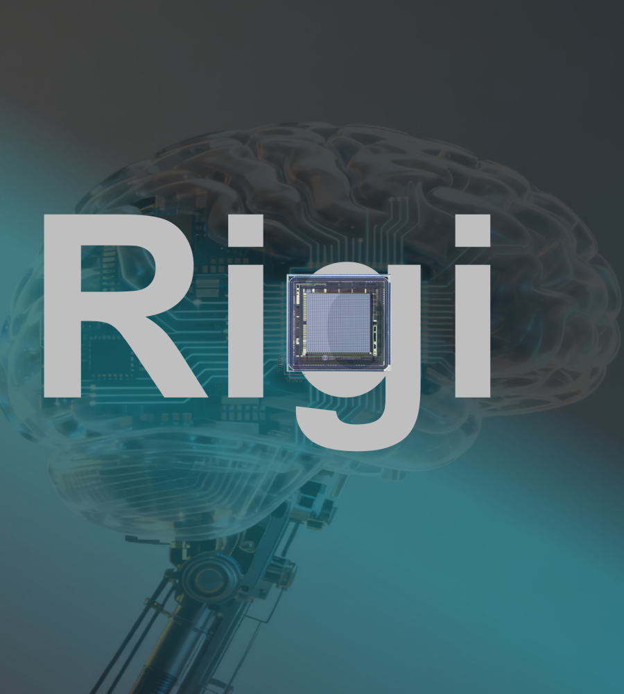 脑机接口读取芯片Rigi系列