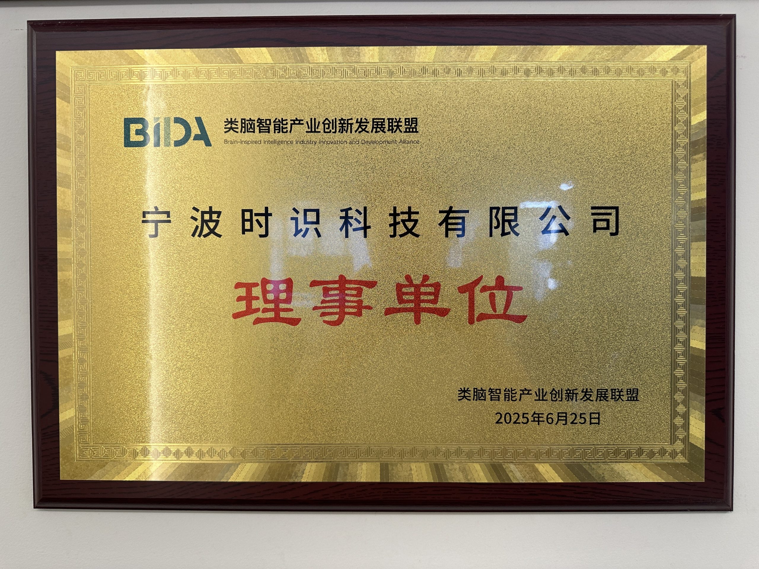 Council Member, Brain-inspired Intelligence Industry Innovation and Development Alliance